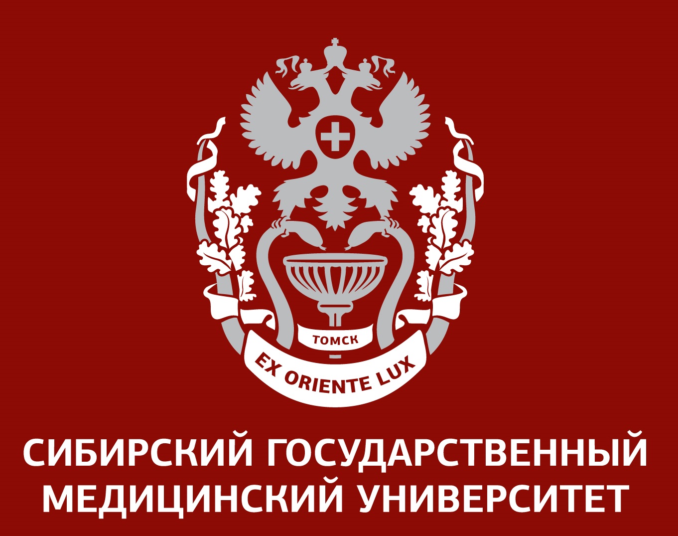 Сибгму университет. Сибирский государственный медицинский университет логотип. Эмблема СИБГМУ Томск. Флаг СИБГМУ. Символ СИБГМУ.